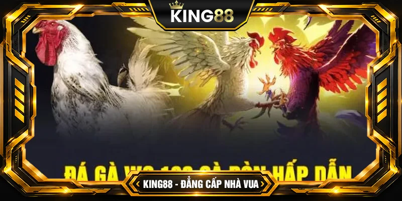 Đá Gà WS168 King88 – Đấu Trường Online Số 1 Đá Gà WS168 King88 – Đấu Trường Online Số 1