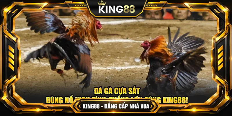 Kinh Nghiệm Bắt Kèo Đá Gà Cựa Sắt Nắm Chắc Phần Thắng tại King88 Kinh Nghiệm Bắt Kèo Đá Gà Cựa Sắt Nắm Chắc Phần Thắng tại King88