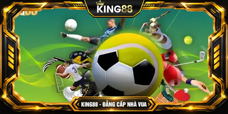 Ưu đãi đặc sắc dành cho người chơi thể thao King88 Ưu đãi đặc sắc dành cho người chơi thể thao King88