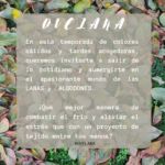 En esta temporada de colores cálidos 🍁y tardes acogedoras, queremos invitarte a salir de lo cotidiano y sumergirte en el apasionante mundo de las LANAS y ALGODONES.☔🌼

 ¿Qué mejor manera de combatir el frío y aliviar el estrés que con un proyecto de tejido entre tus manos?¡Descubre la magia de tejer y encuentra tu refugio creativo este otoño!❤️

Y para hacer de esta experiencia aún más especial, hemos preparado una oferta irresistible para ti. 🌈

Solo durante esta temporada, todas nuestras lanas y algodones están en liquidación especial. ❤️

¡No pierdas la oportunidad de llenar tu cesta de tejidos y ahorrar al máximo!🍁

Así que, ¿qué esperas?❤️

Visita nuestra página web y descubre la amplia gama de colores y texturas disponibles. 🌈

No dejes pasar esta increíble oportunidad de hacerte con las mejores lanas para tejer y experimentar la alegría de crear con tus propias manos. 🌷

www.ovelana.cl🌸

Sólo venta online
consultas 
contacto@ovelana.cl
@ovelana

+569 42926508 ❤️ +569 57492180
www.ovelana.cl
contacto@ovelana.cl
whatsapp para consultas
+56942926508 - + 56957492180

#lanas #elgustodecrear #crochet #palillos #dosagujas #tejidodosagujas #tejidopalillos #tejedoraschile #tejedora #tejer #lanasalize #lanascisne #hilosdebordar #dmc #dmcembroidery #cursotelar #telarmaria